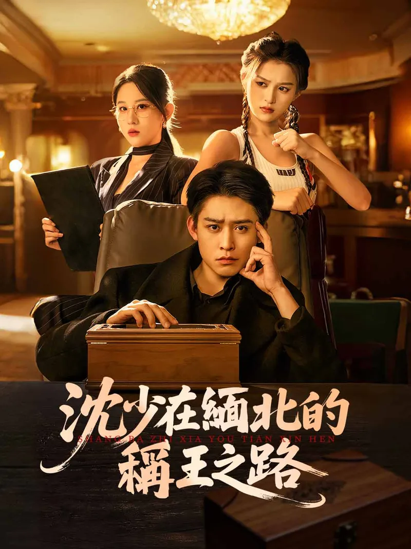 《沈少在緬北的稱王之路》封面