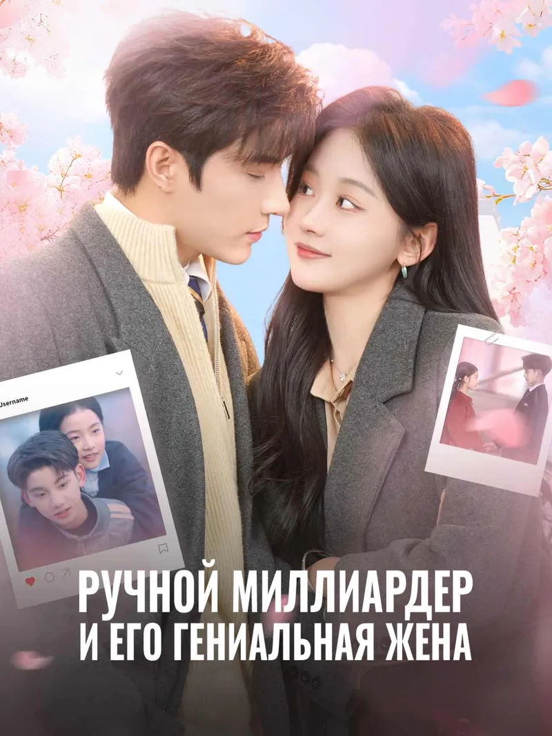 Обложка «Ручной миллиардер и его гениальная жена»