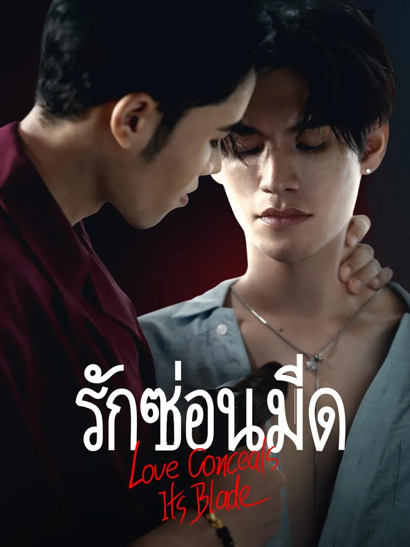 หน้าปกรักซ่อนมีด