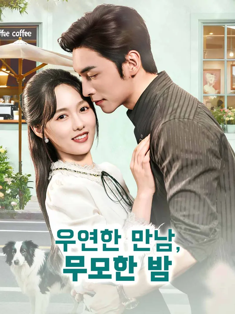 우연한 만남, 무모한 밤 표지