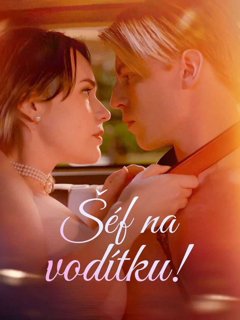 Obálka Šéf na vodítku!