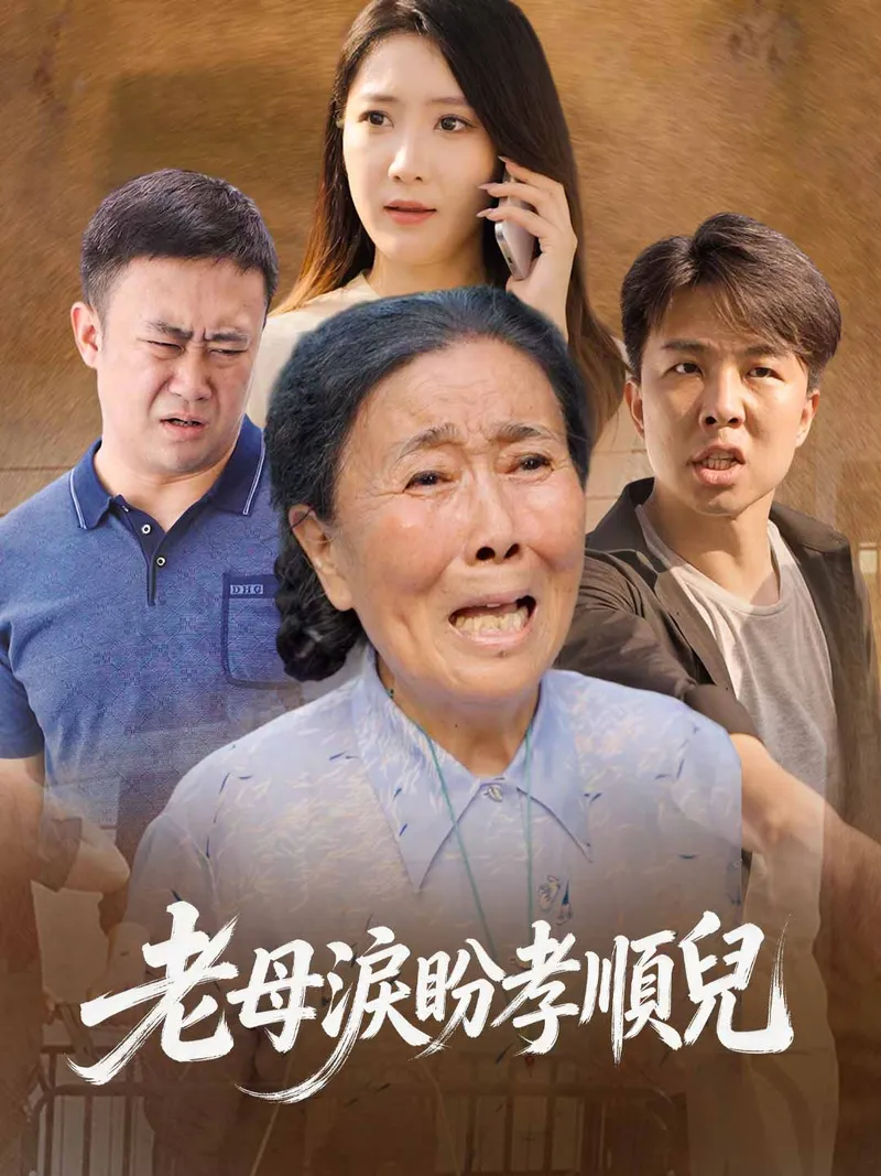 《老母淚盼孝順兒》封面
