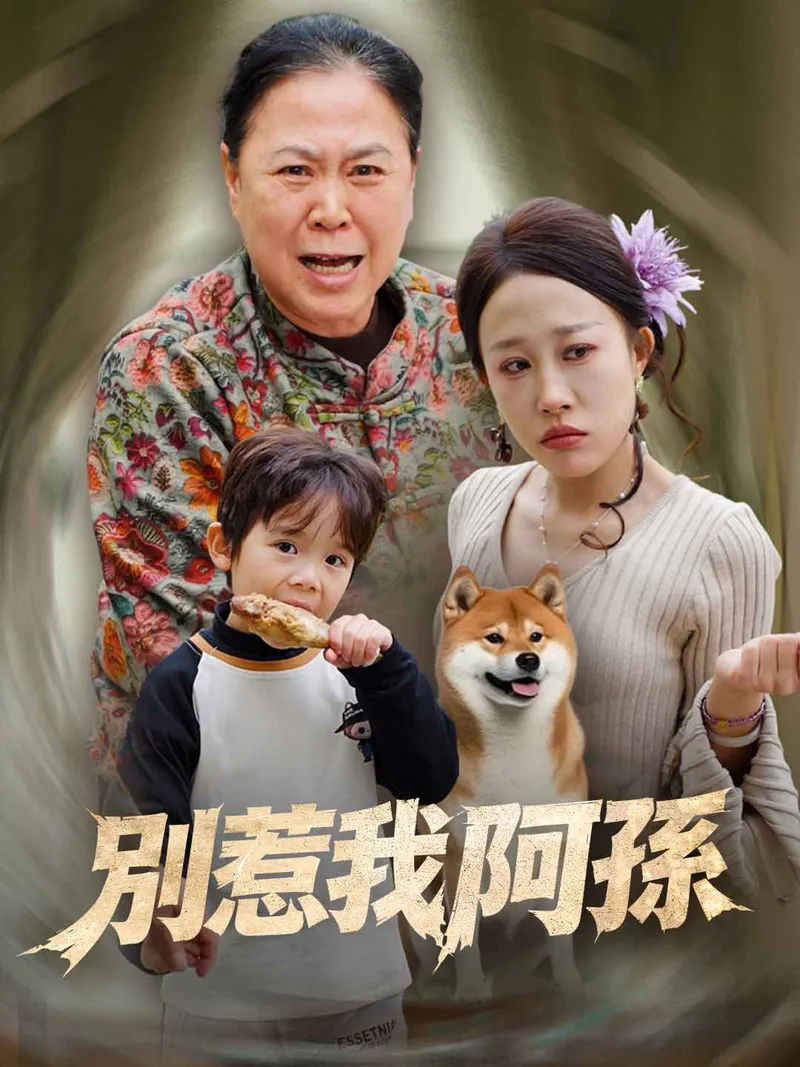 《別惹我阿孫》封面