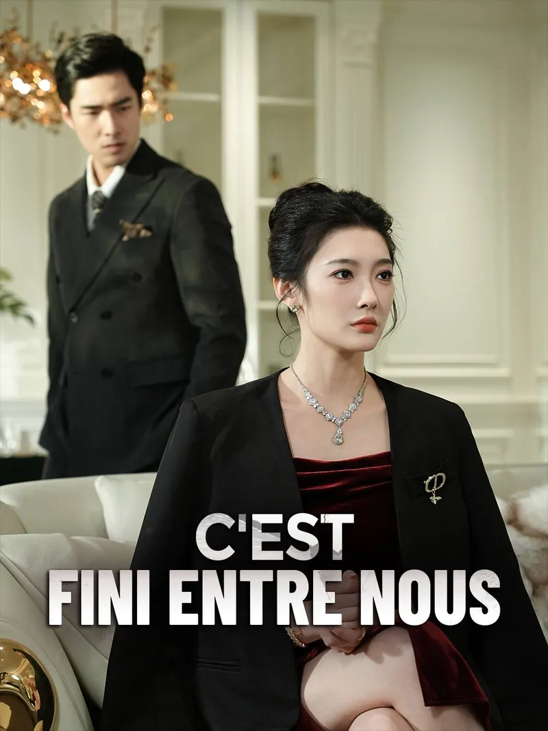 Couverture de C'est fini entre nous