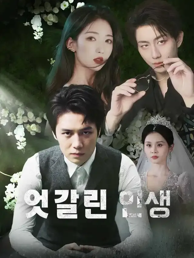 엇갈린 인생 표지