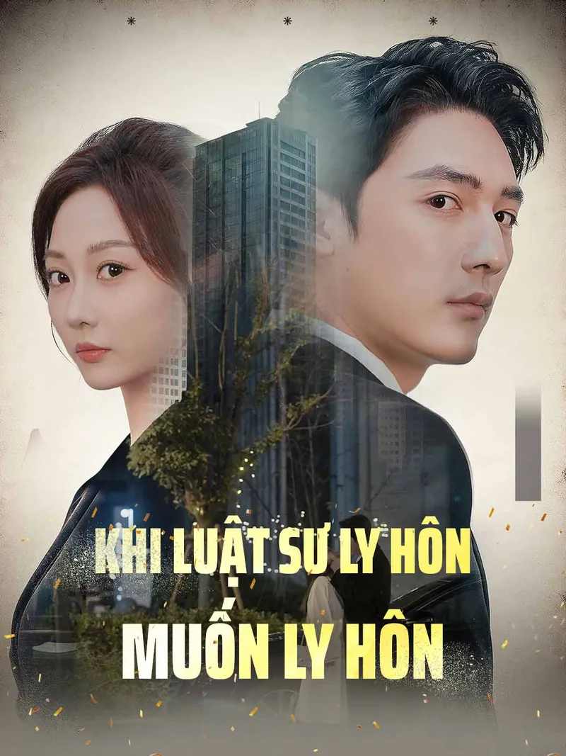 Ảnh bìa Khi luật sư ly hôn muốn ly hôn