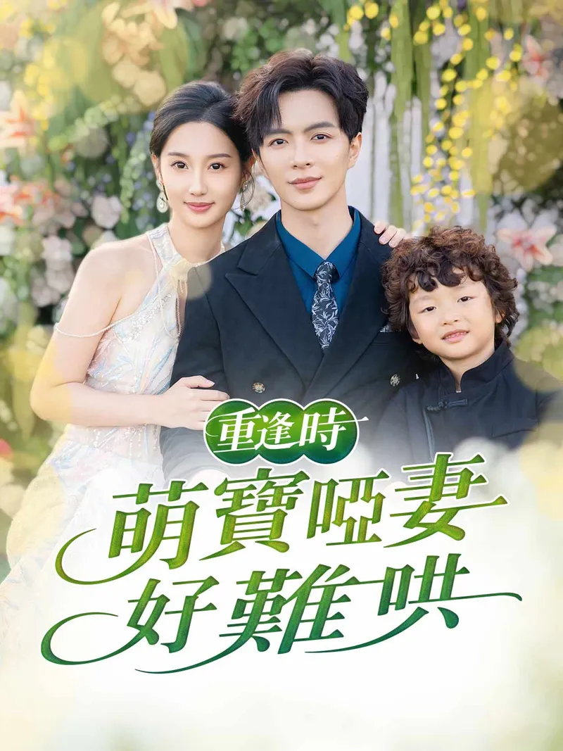 《重逢時，萌寶啞妻好難哄》封面