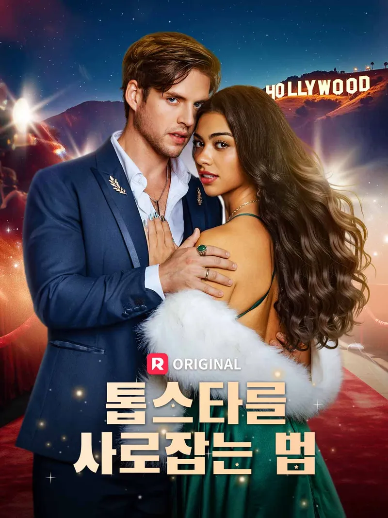 톱스타를 사로잡는 법 표지