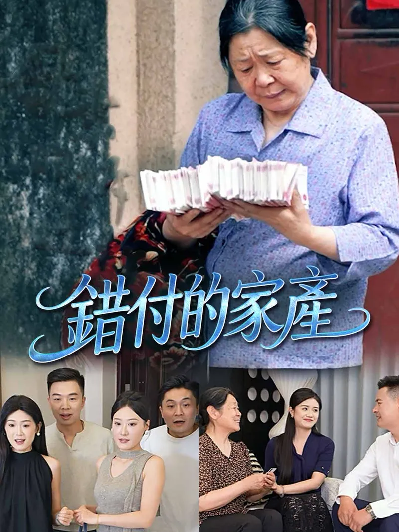 《錯付的家產》封面