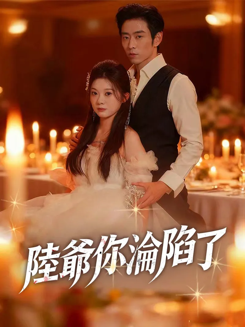 《陸爺你淪陷了》封面