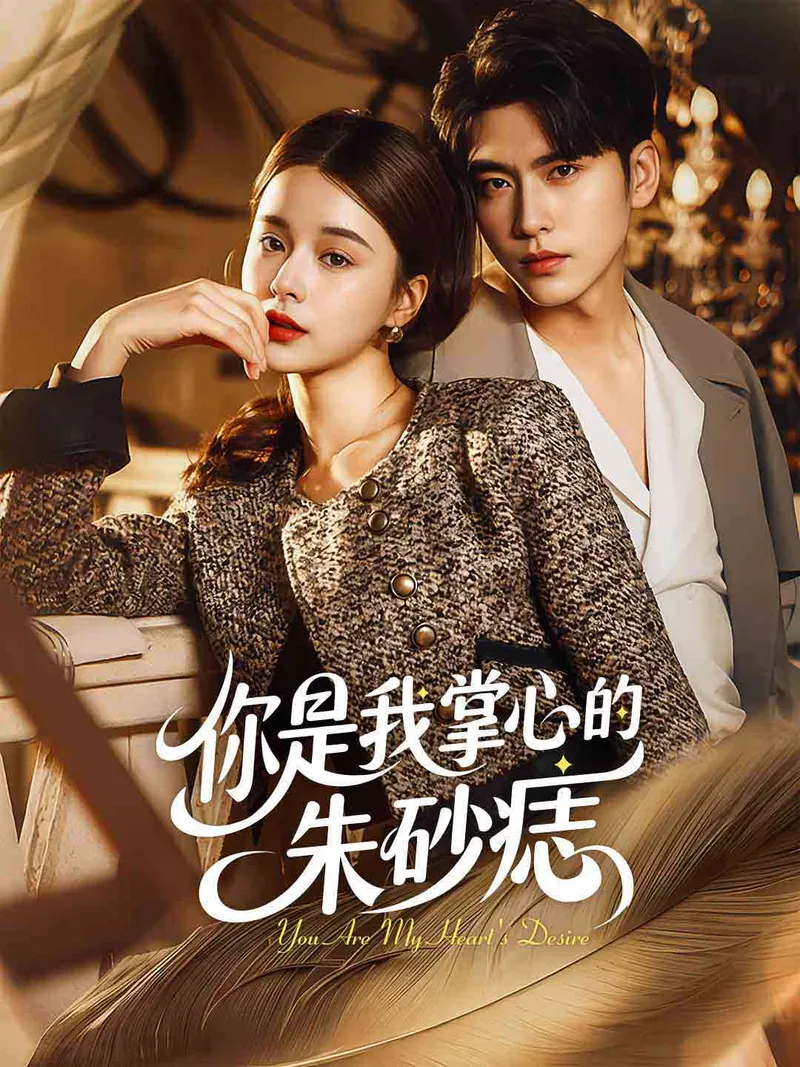 《你是我掌心的朱砂痣》封面
