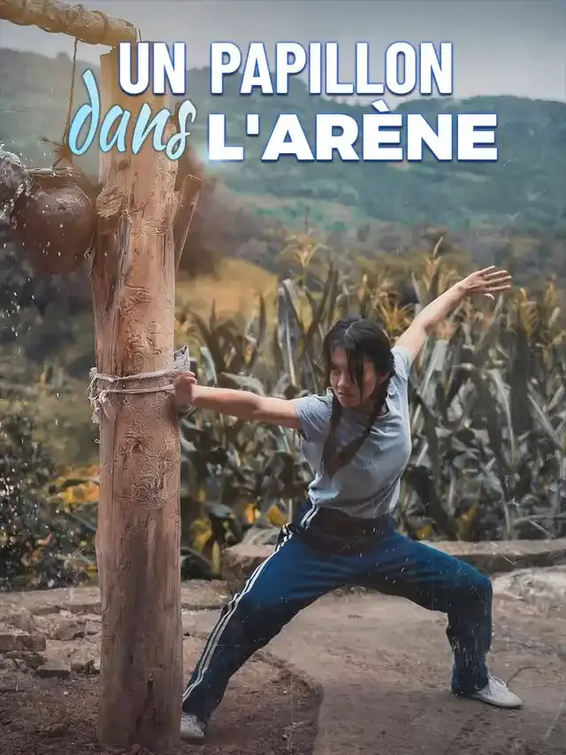 Couverture de Un Papillon dans l'Arène