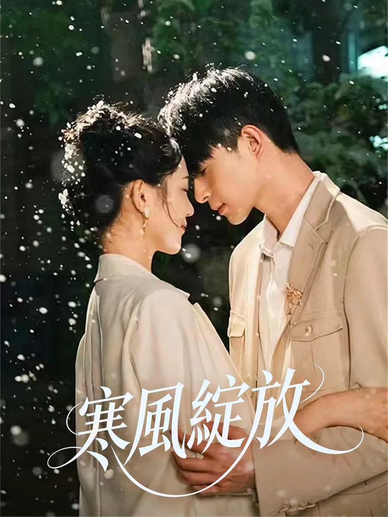 《寒風綻放》封面