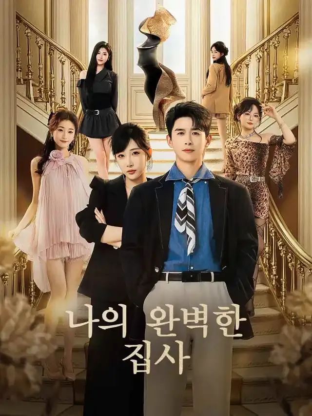 나의 완벽한 집사 표지