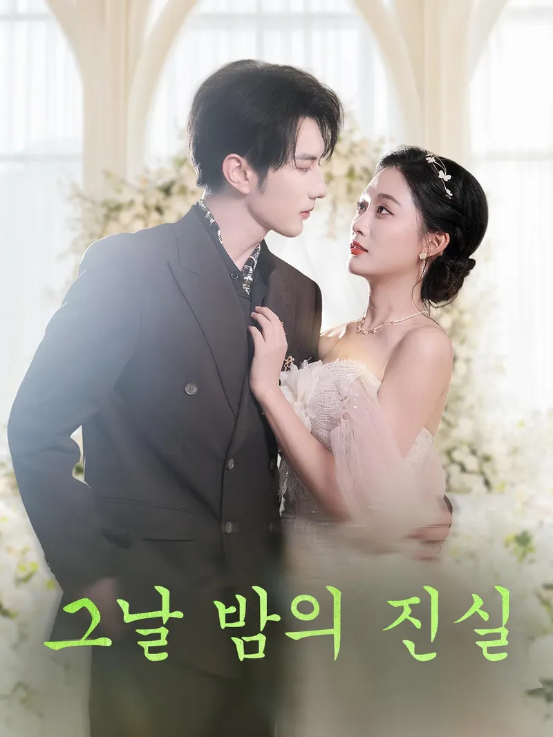 그날 밤의 진실 표지