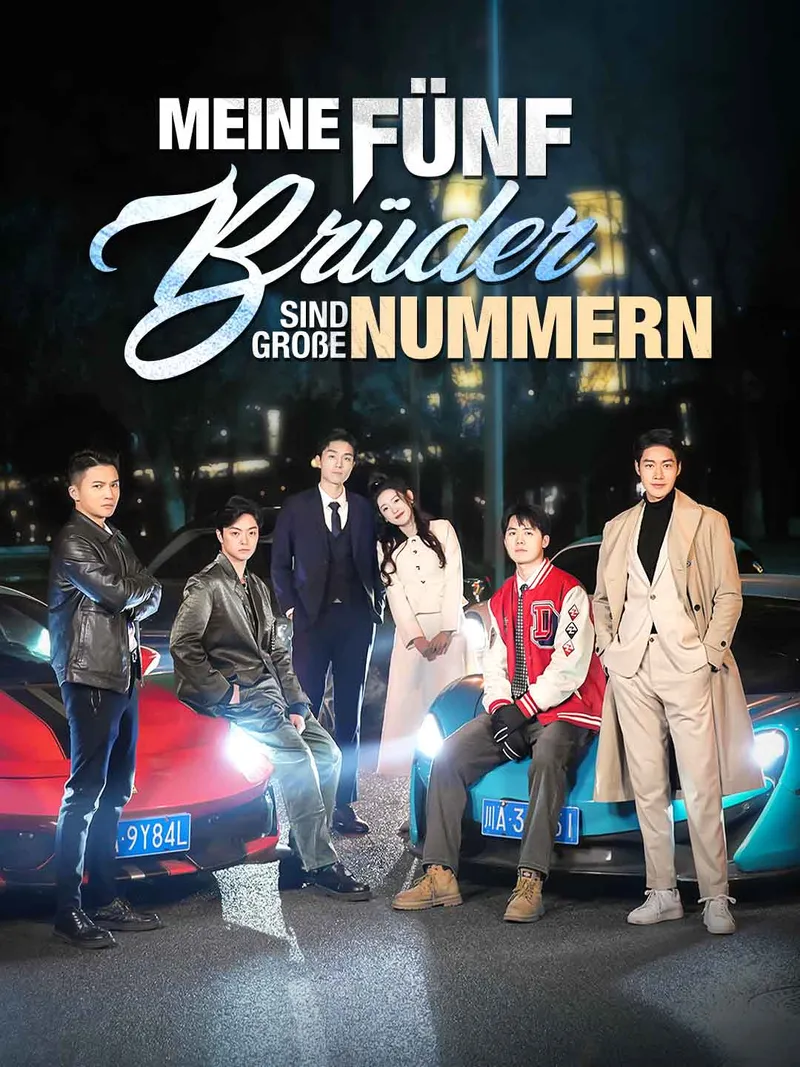 Cover von Meine fünf Brüder sind große Nummern.