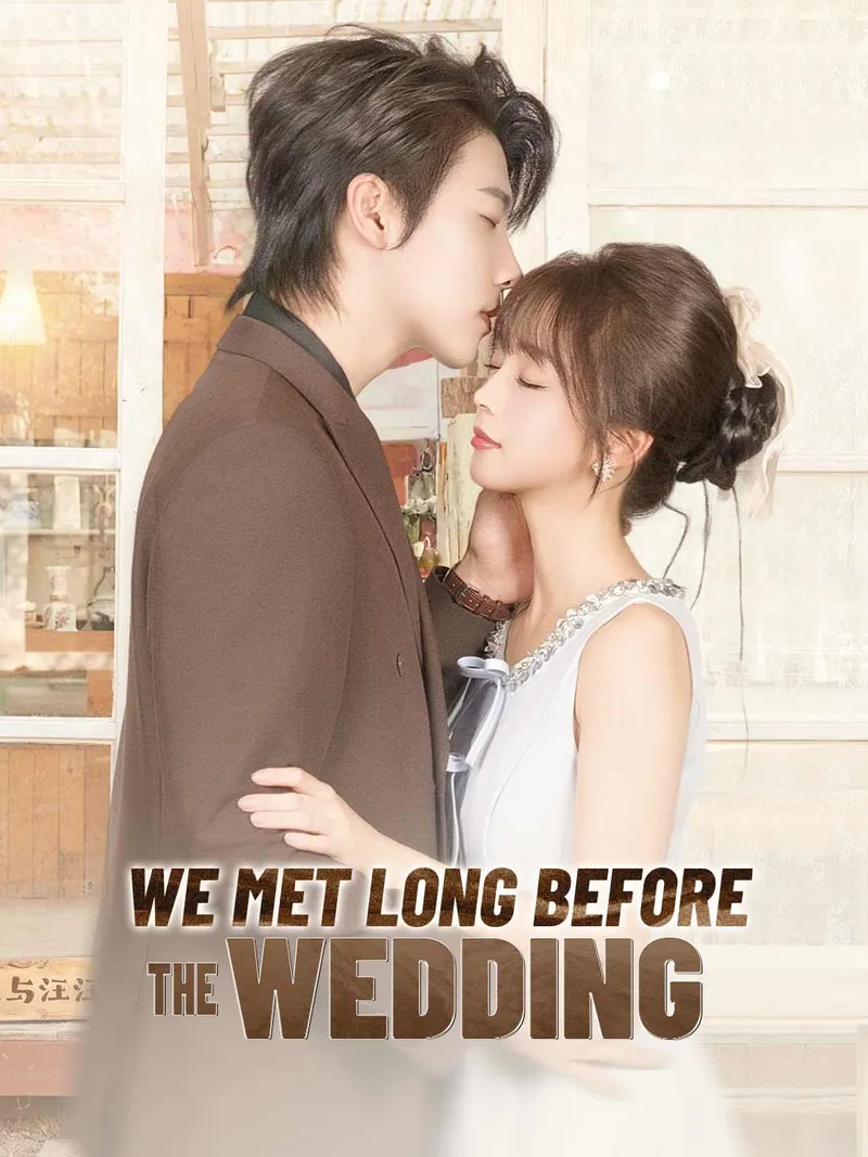We Met Long Before the Wedding cover