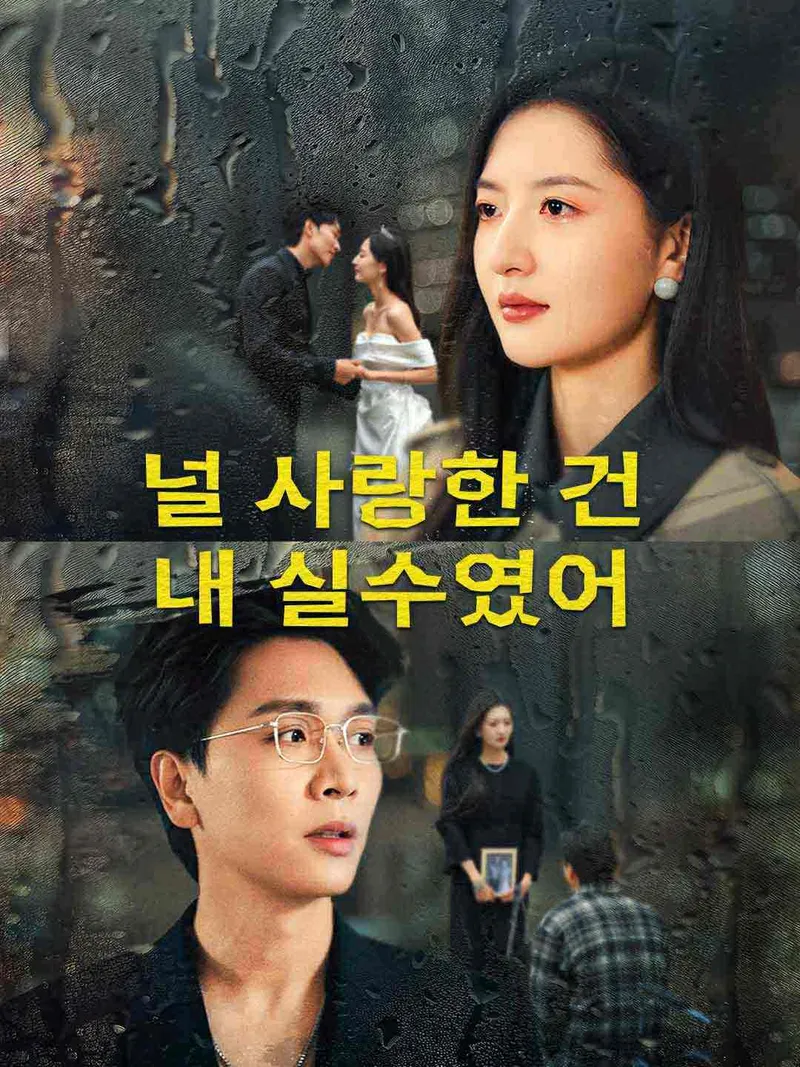널 사랑한 건 내 실수였어 표지