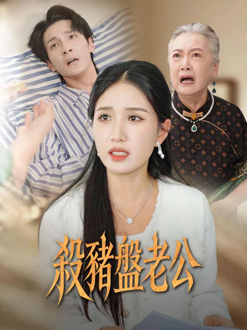 《殺豬盤老公》封面