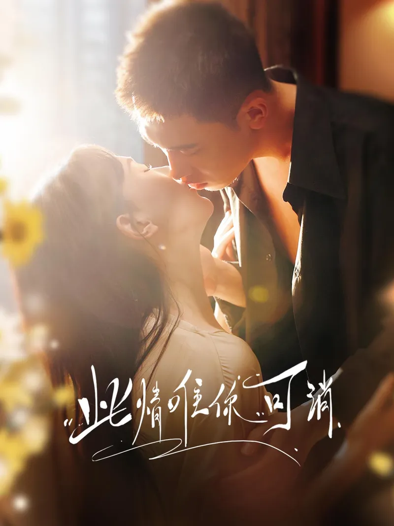 《此情唯你可消》封面