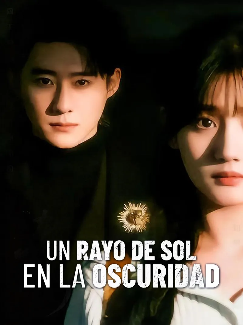 Portada de Un rayo de sol en la oscuridad