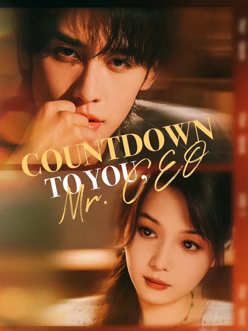 Countdown to You, Mr. CEO cover
