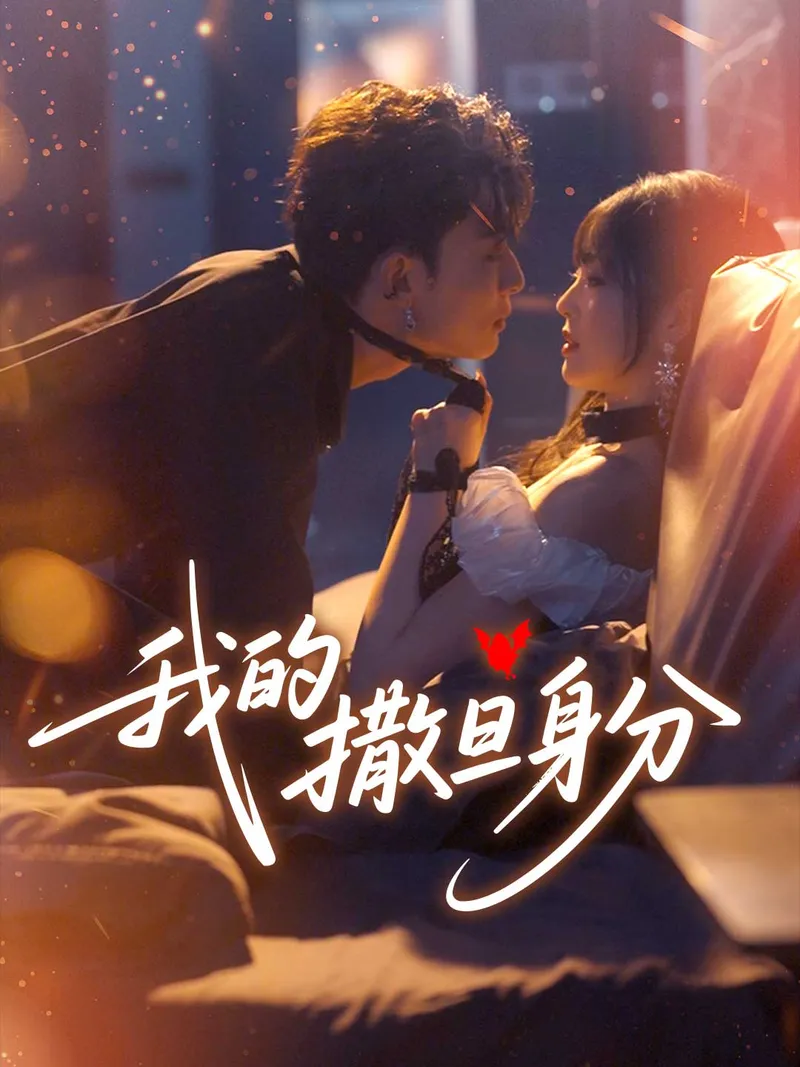 《我的撒旦身分》封面