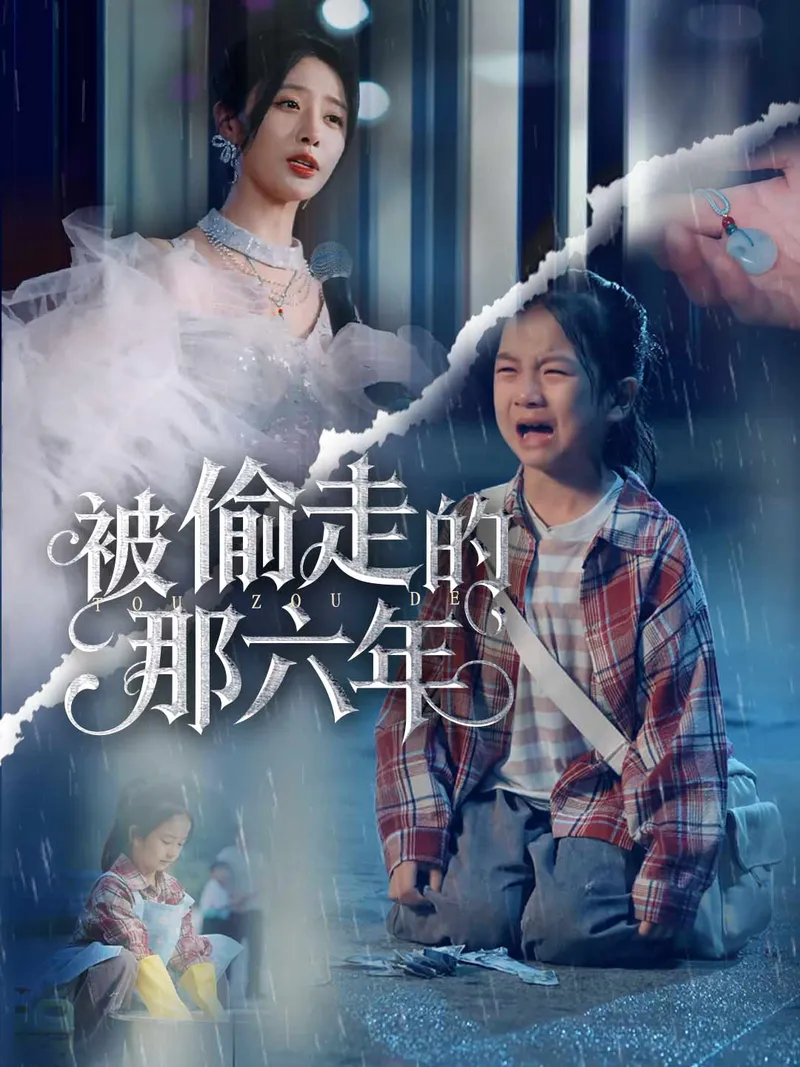 《被偷走的那六年》封面
