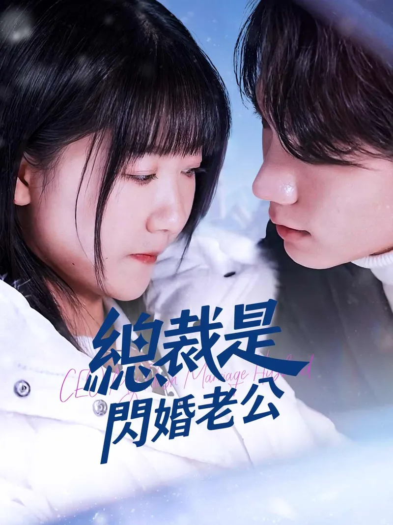 《總裁是閃婚老公》封面