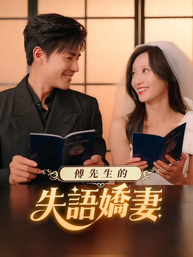 《傅先生的失語嬌妻》封面