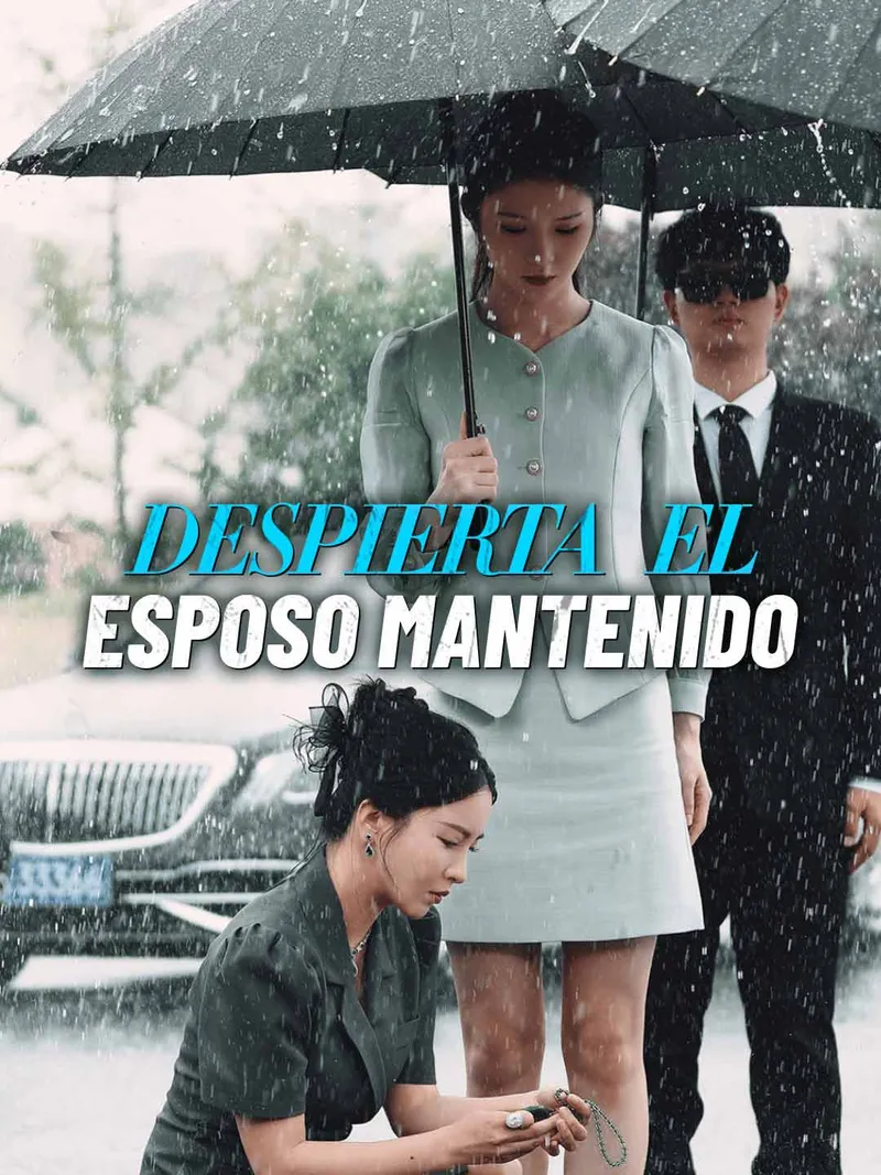 Portada de Despierta el esposo mantenido