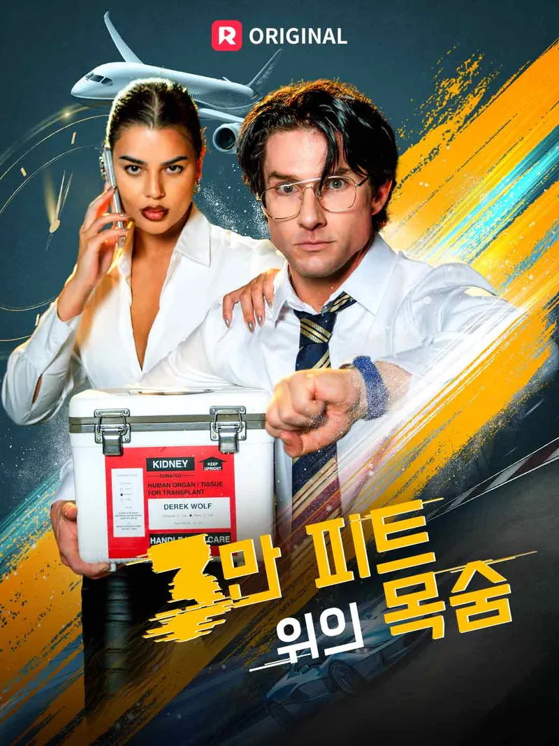 3만 피트 위의 목숨 표지