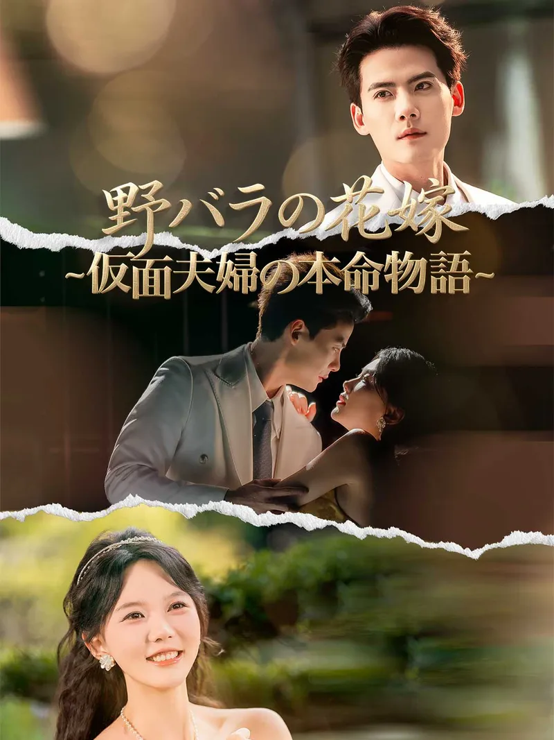 「野バラの花嫁 ~仮面夫婦の本命物語~」のカバー画像