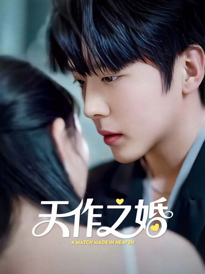 《天作之婚》封面