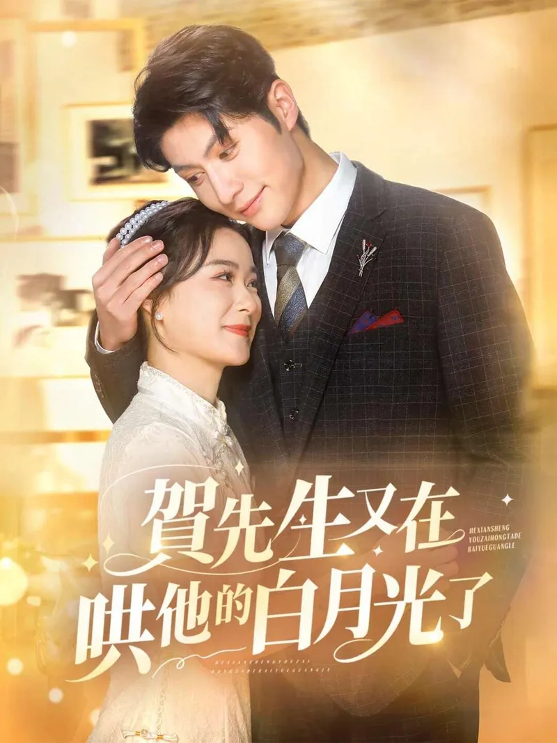 《賀先生又在哄他的白月光了》封面