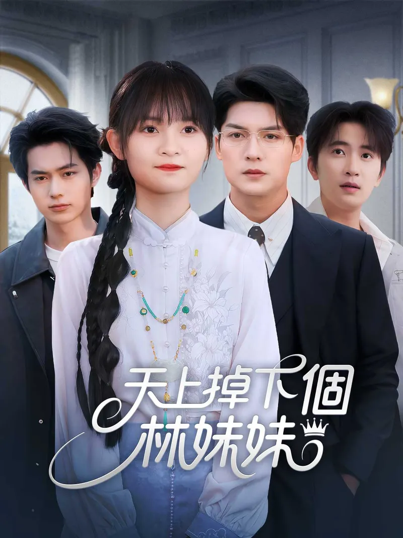 《天上掉下個林妹妹》封面