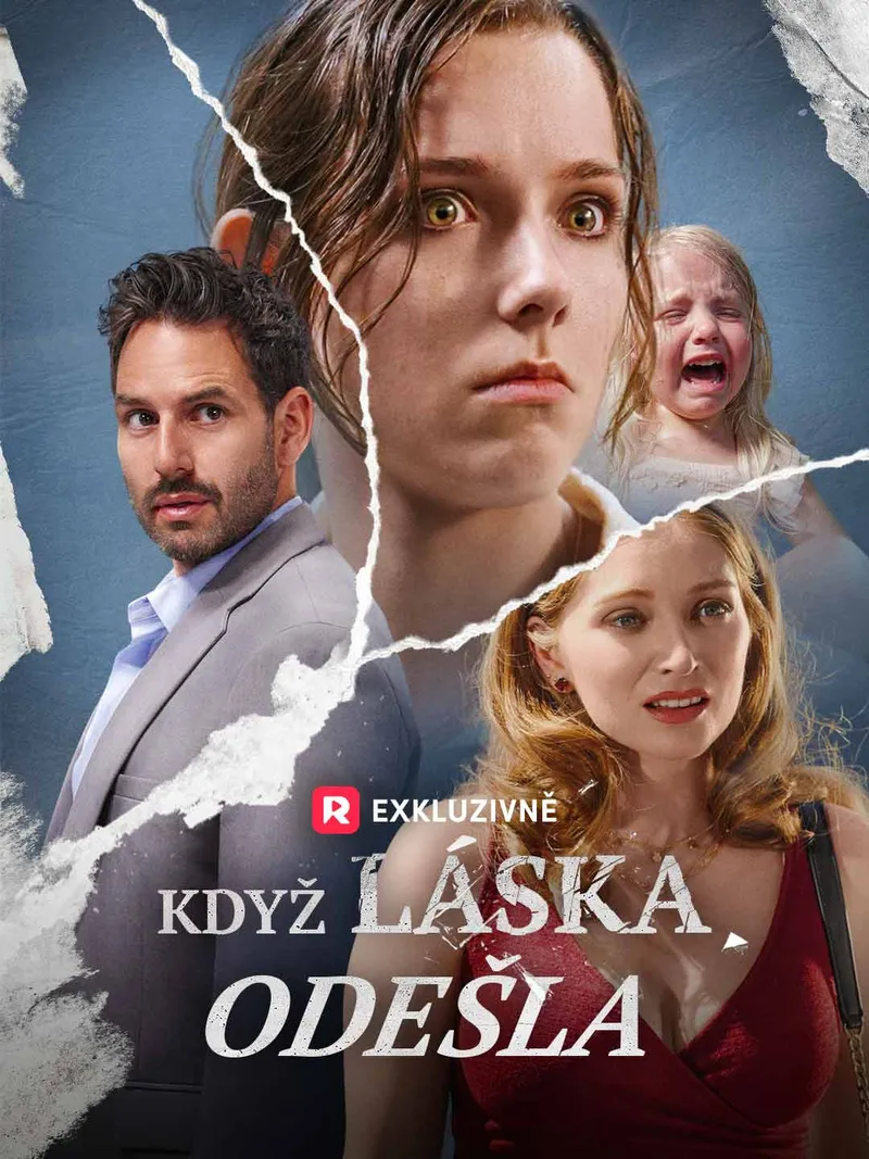Obálka Když láska odešla