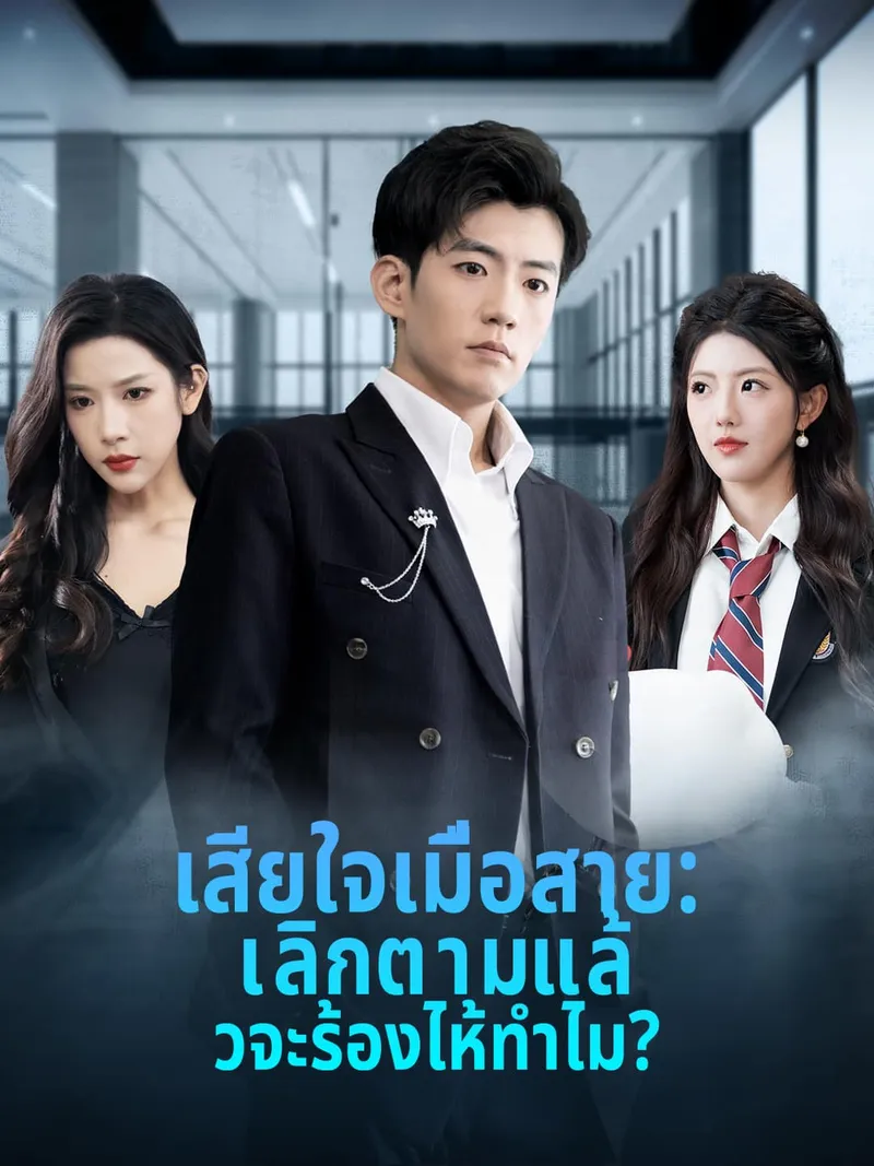 หน้าปกเสียใจเมื่อสาย: เลิกตามแล้วจะร้องไห้ทำไม?