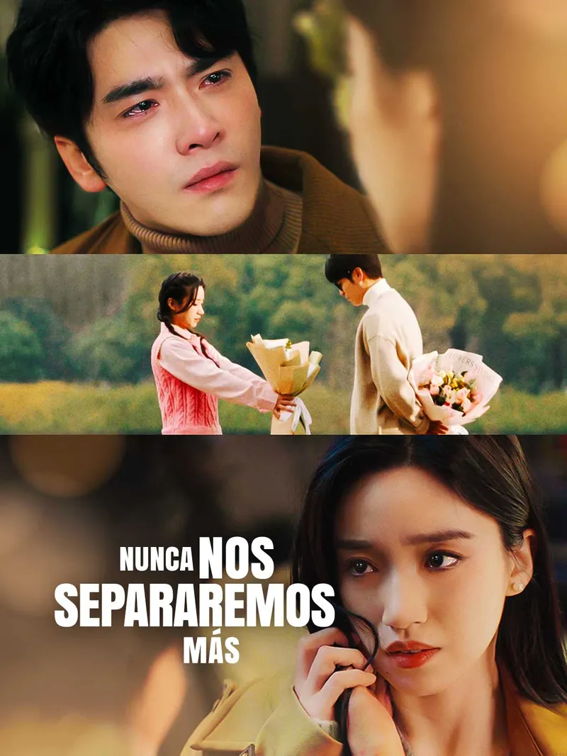 Portada de Nunca nos separaremos más