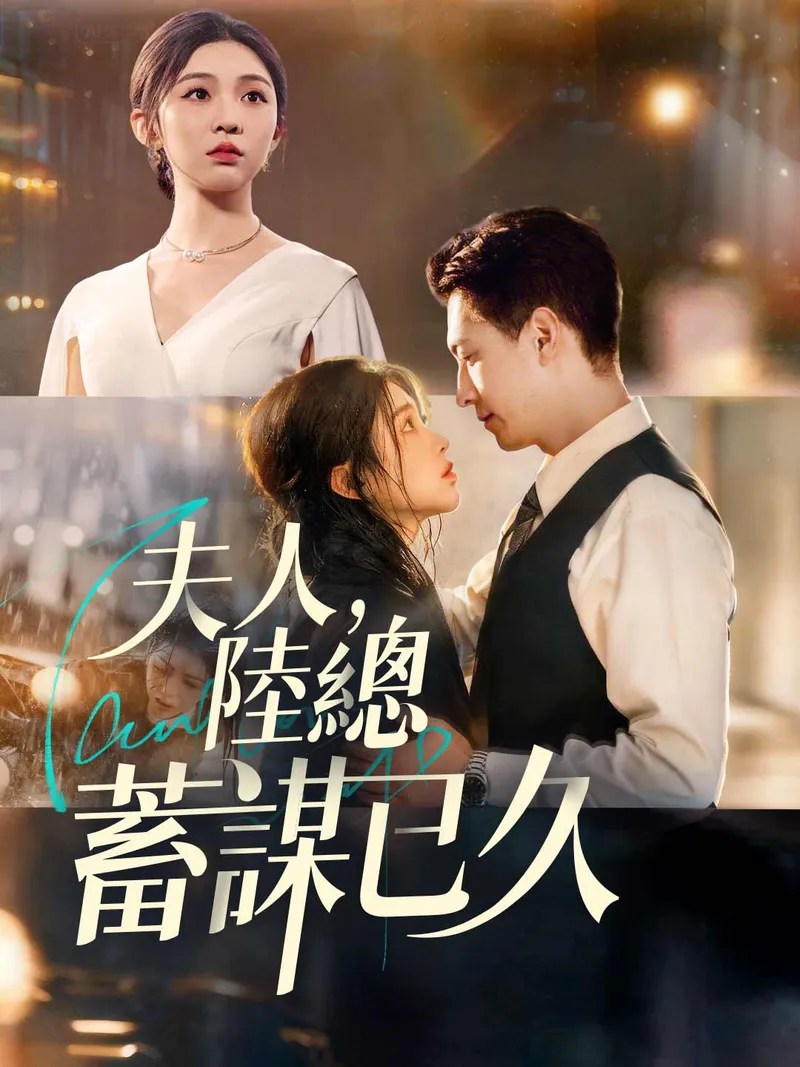 《夫人，陸總蓄謀已久》封面