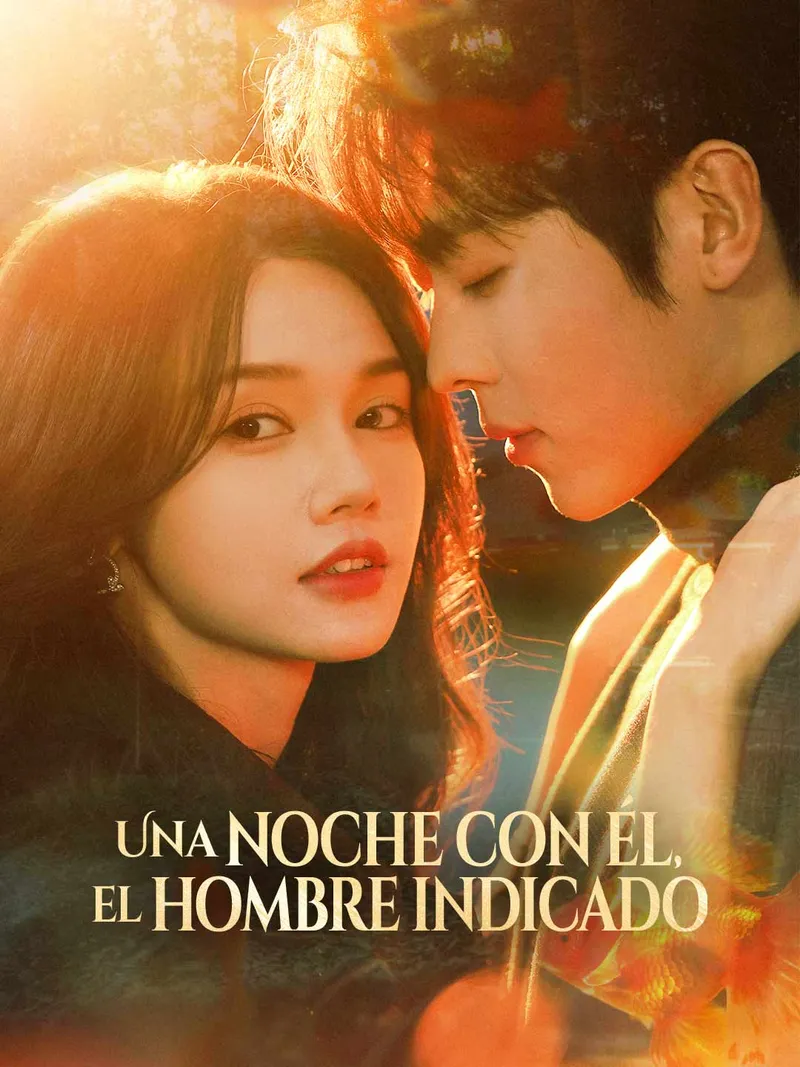 Portada de Una noche con él, el hombre indicado