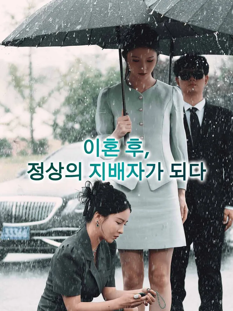 이혼 후, 정상의 지배자가 되다 표지