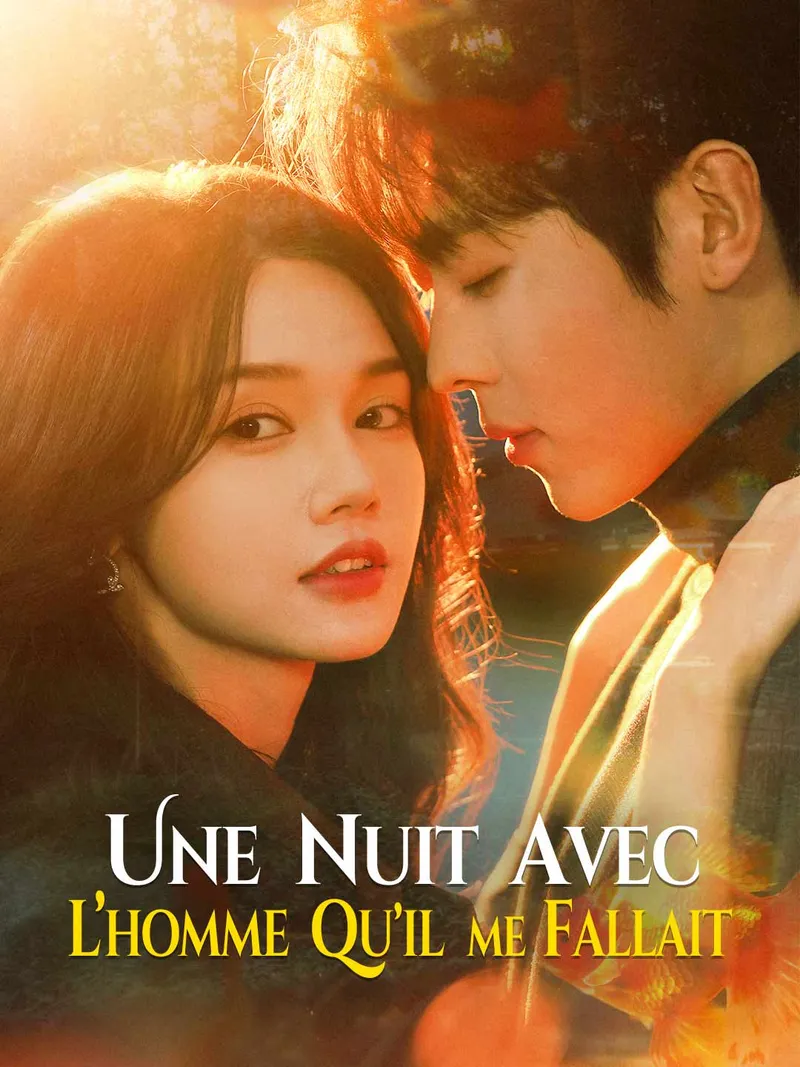 Couverture de Une nuit avec l’homme qu’il me fallait