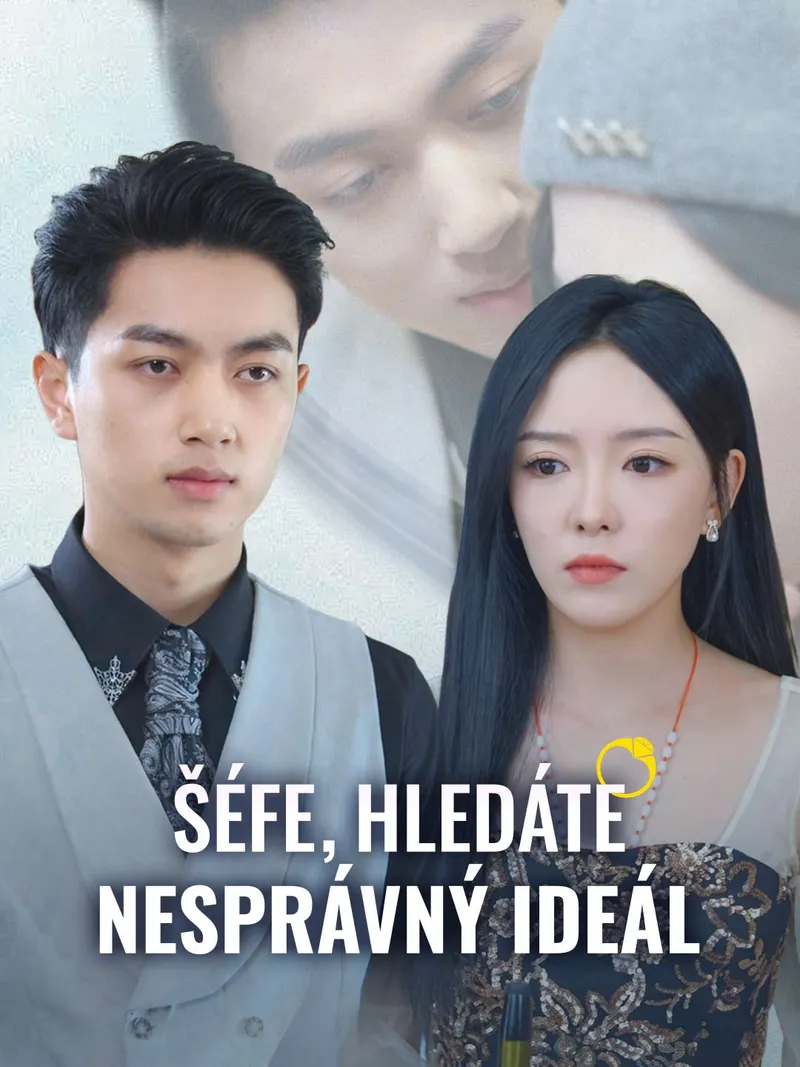 Obálka Šéfe, hledáte nesprávný ideál