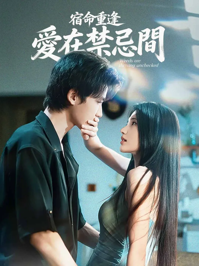 《宿命重逢，愛在禁忌間》封面