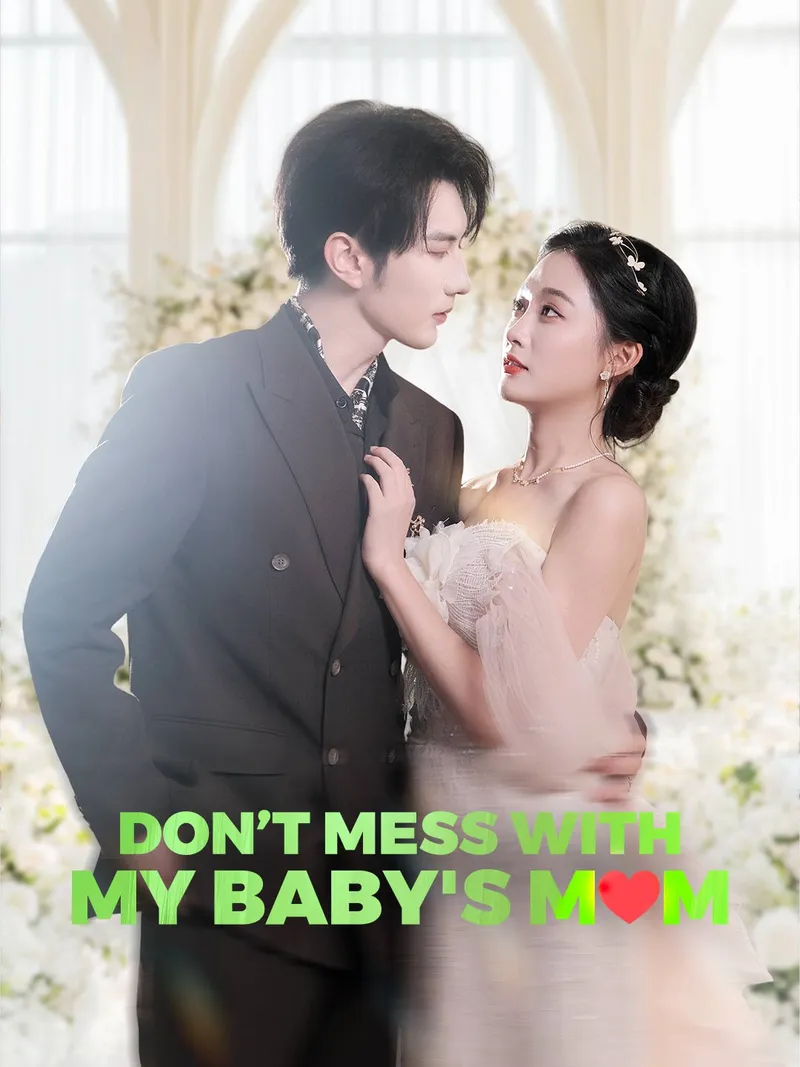Don’t Mess With My Baby's Mom cover