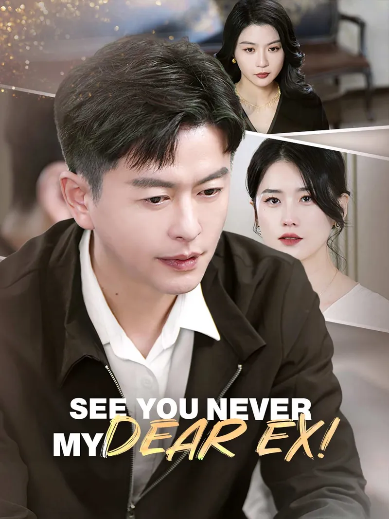 See You Never, My Dear Ex! cover