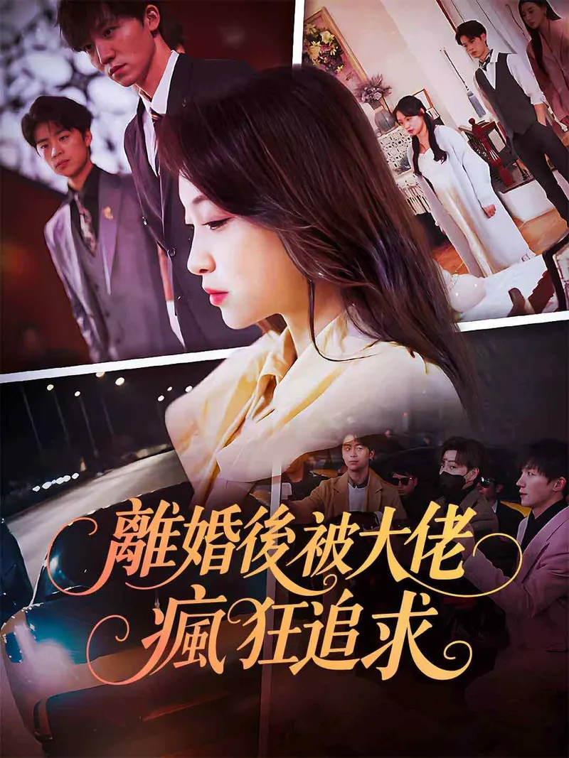 《離婚後被大佬瘋狂追求》封面