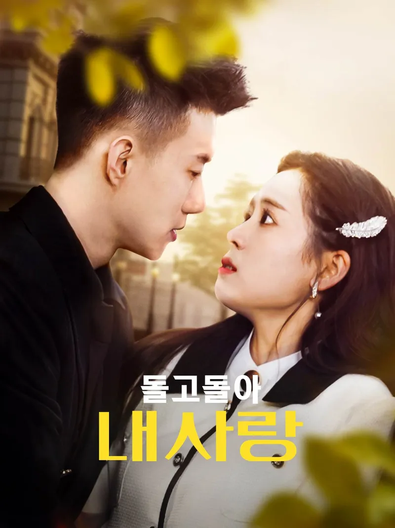 돌고돌아 내사랑 표지
