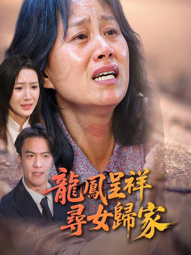 《龍鳳呈祥，尋女歸家》封面